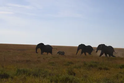 DSC_3891 (Large).JPG